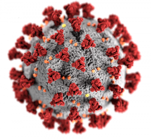 Virus molecule